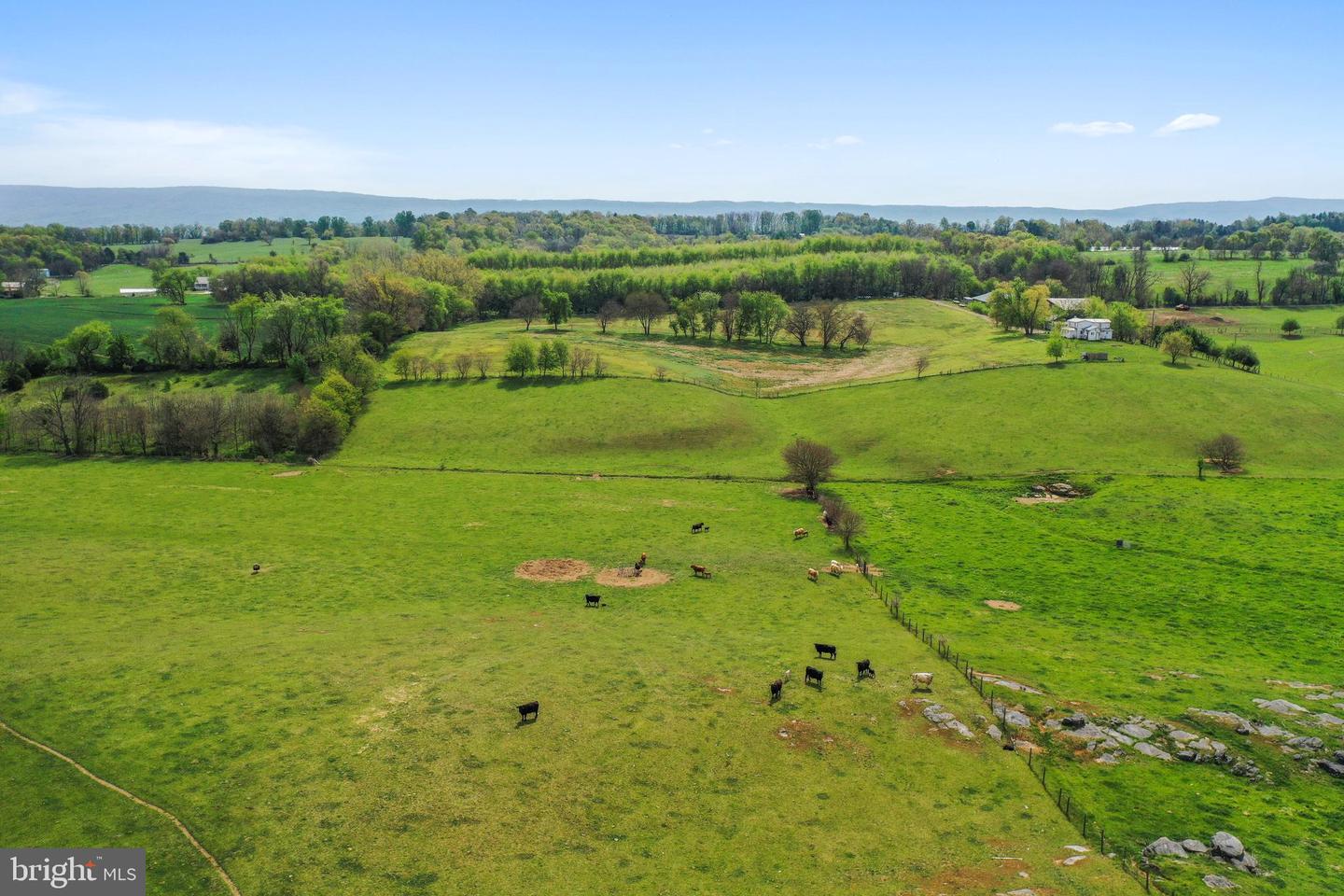 14004 AMERICAN LEGION DR, BROADWAY, Virginia 22815, ,Farm,For sale,14004 AMERICAN LEGION DR,VARO2002254 MLS # VARO2002254