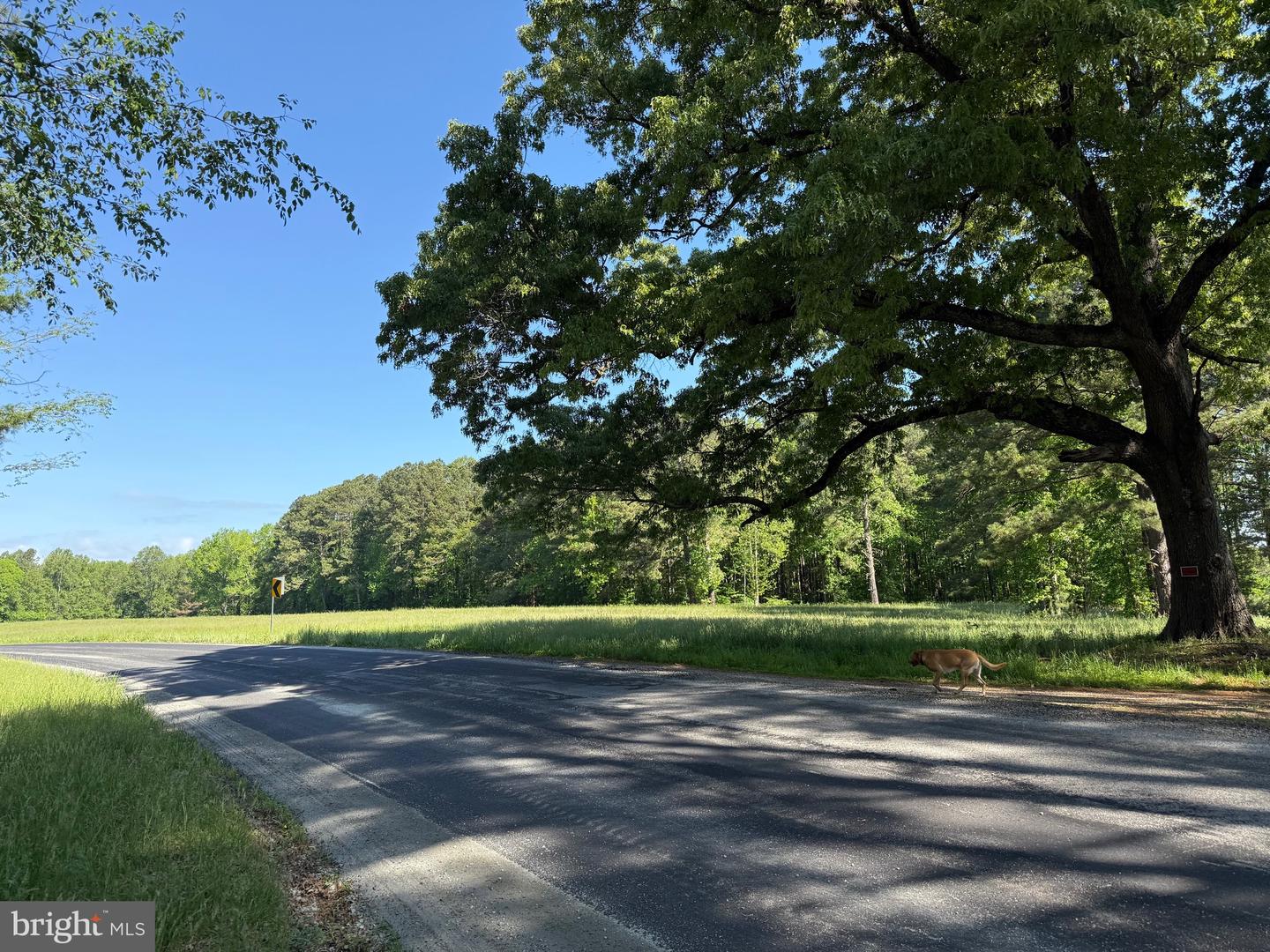 TBD CRAIG MILL RD, SOUTH HILL, Virginia 23970, ,Land,For sale,TBD CRAIG MILL RD,VALB2000044 MLS # VALB2000044
