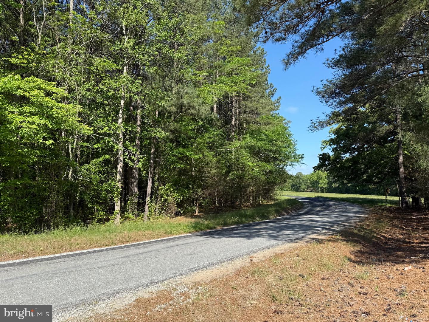 TBD CRAIG MILL RD, SOUTH HILL, Virginia 23970, ,Land,For sale,TBD CRAIG MILL RD,VALB2000044 MLS # VALB2000044