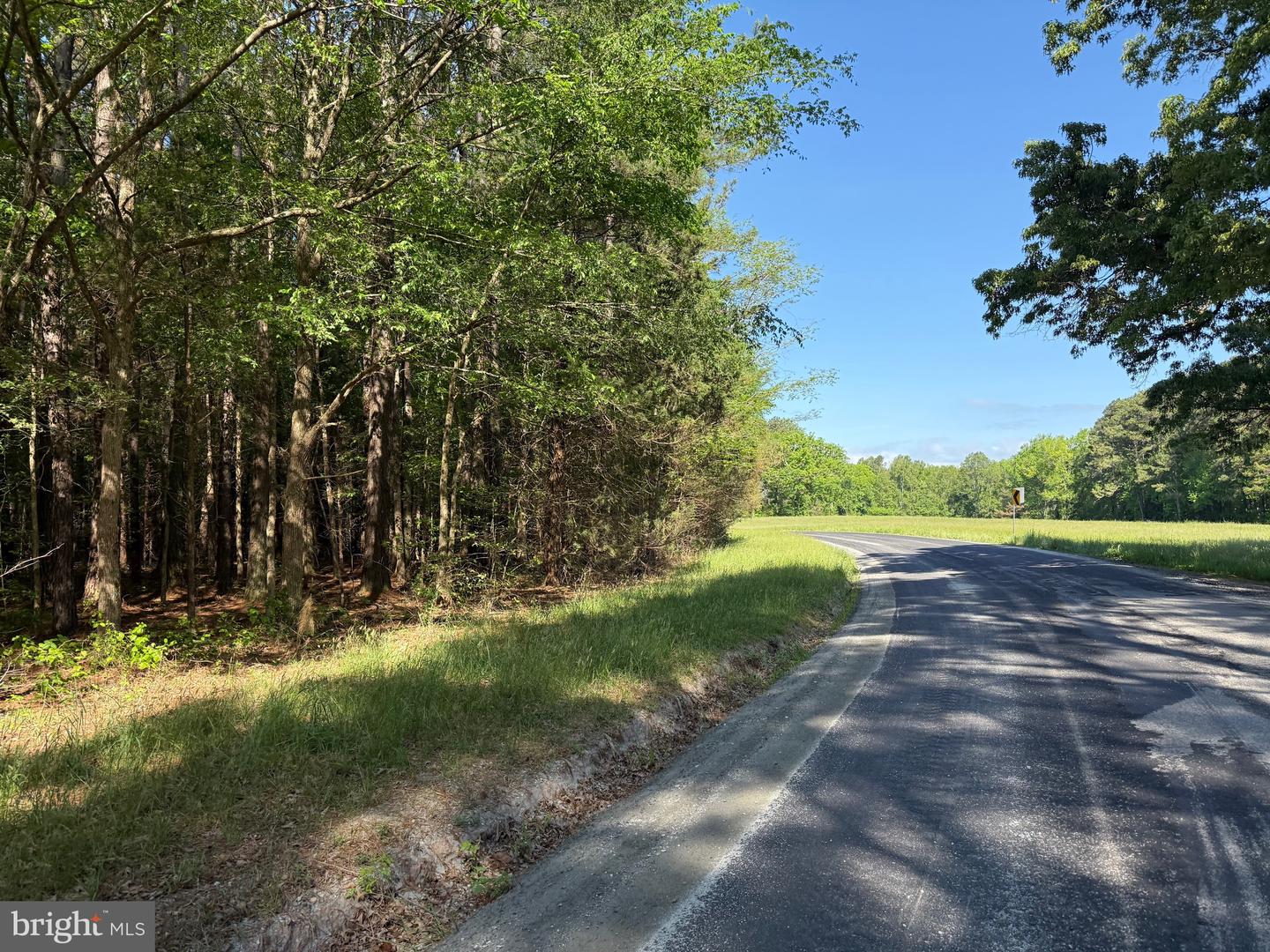 TBD CRAIG MILL RD, SOUTH HILL, Virginia 23970, ,Land,For sale,TBD CRAIG MILL RD,VALB2000044 MLS # VALB2000044
