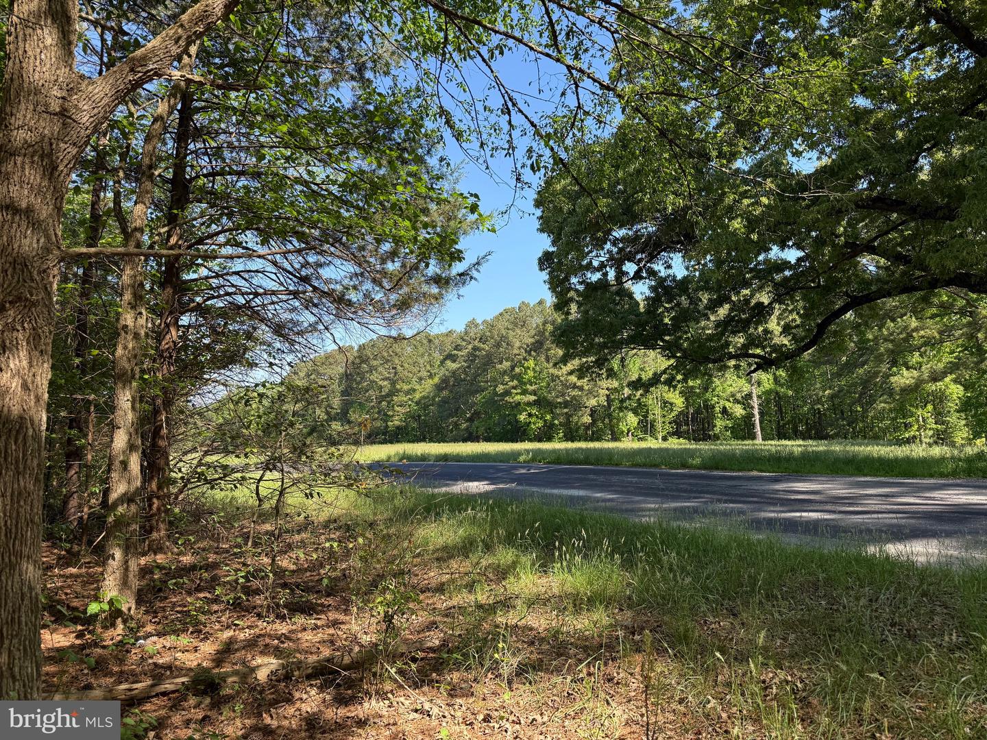 TBD CRAIG MILL RD, SOUTH HILL, Virginia 23970, ,Land,For sale,TBD CRAIG MILL RD,VALB2000044 MLS # VALB2000044