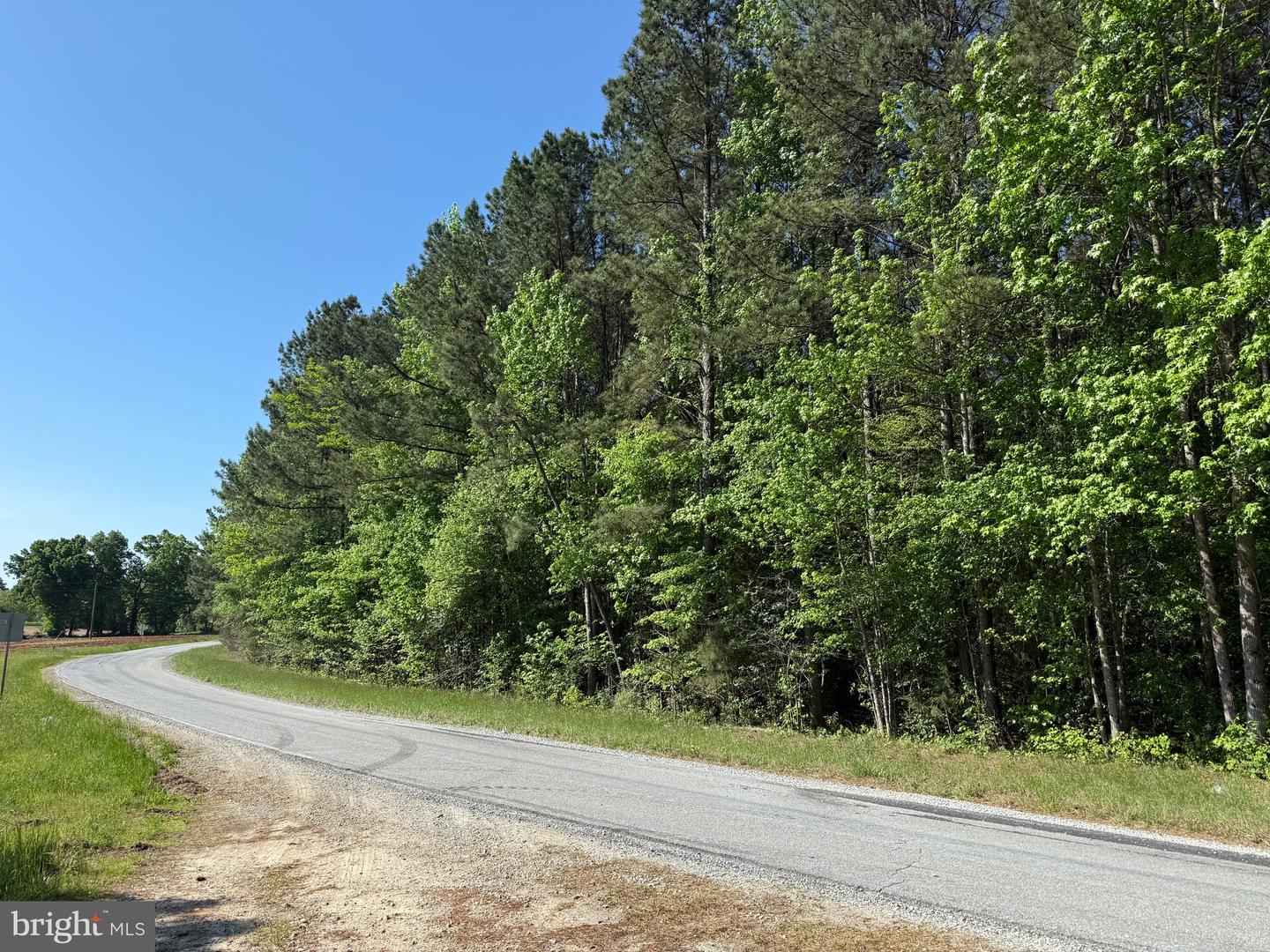 TBD CRAIG MILL RD, SOUTH HILL, Virginia 23970, ,Land,For sale,TBD CRAIG MILL RD,VALB2000044 MLS # VALB2000044