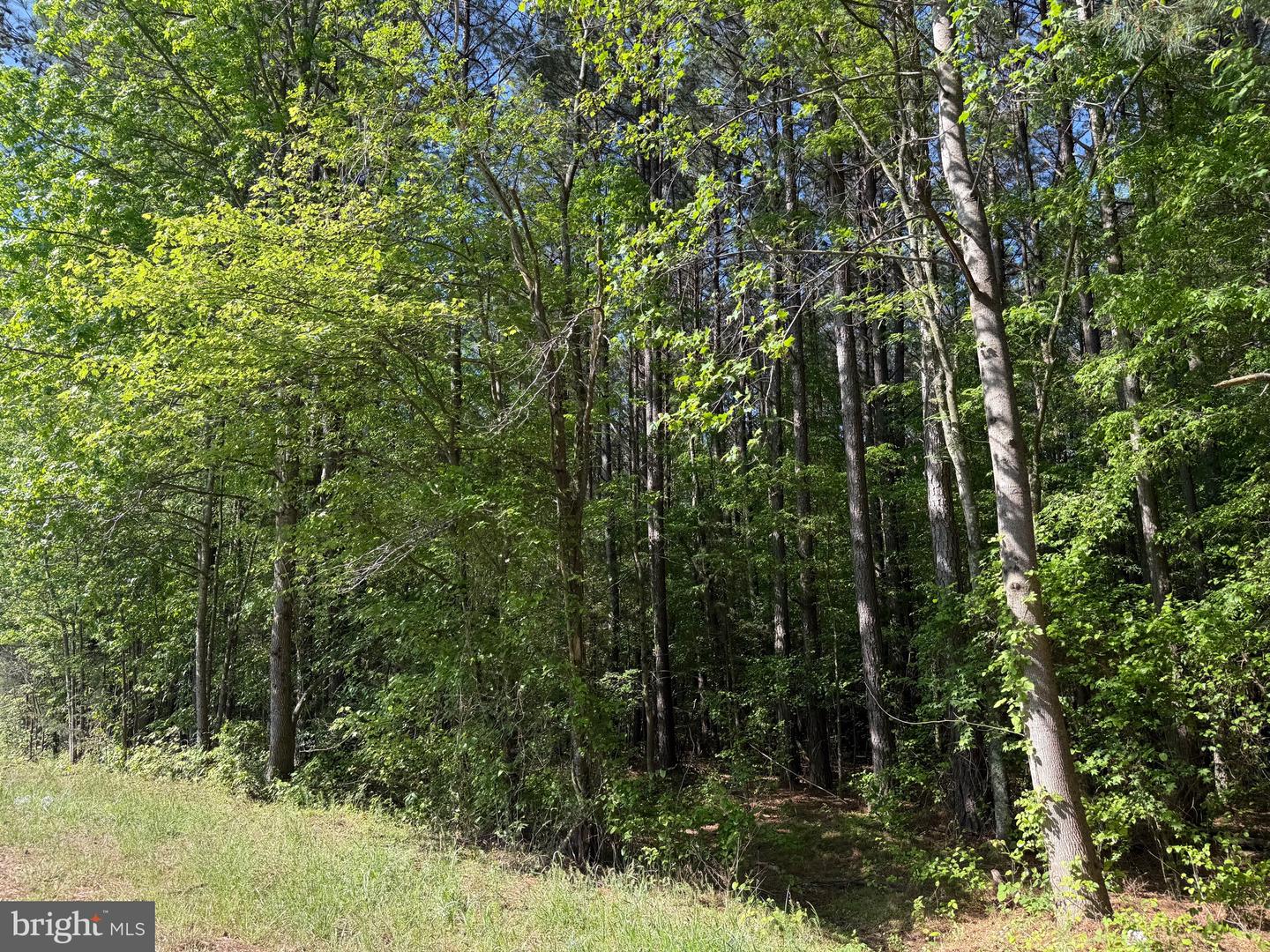 TBD CRAIG MILL RD, SOUTH HILL, Virginia 23970, ,Land,For sale,TBD CRAIG MILL RD,VALB2000044 MLS # VALB2000044