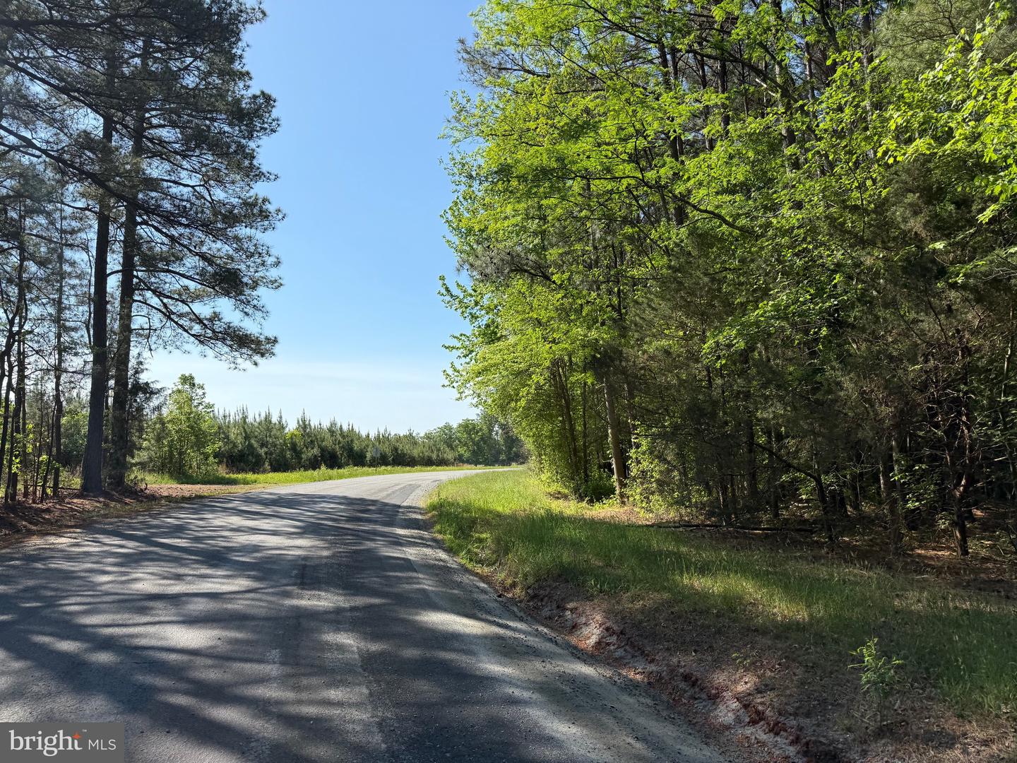 TBD CRAIG MILL RD, SOUTH HILL, Virginia 23970, ,Land,For sale,TBD CRAIG MILL RD,VALB2000044 MLS # VALB2000044