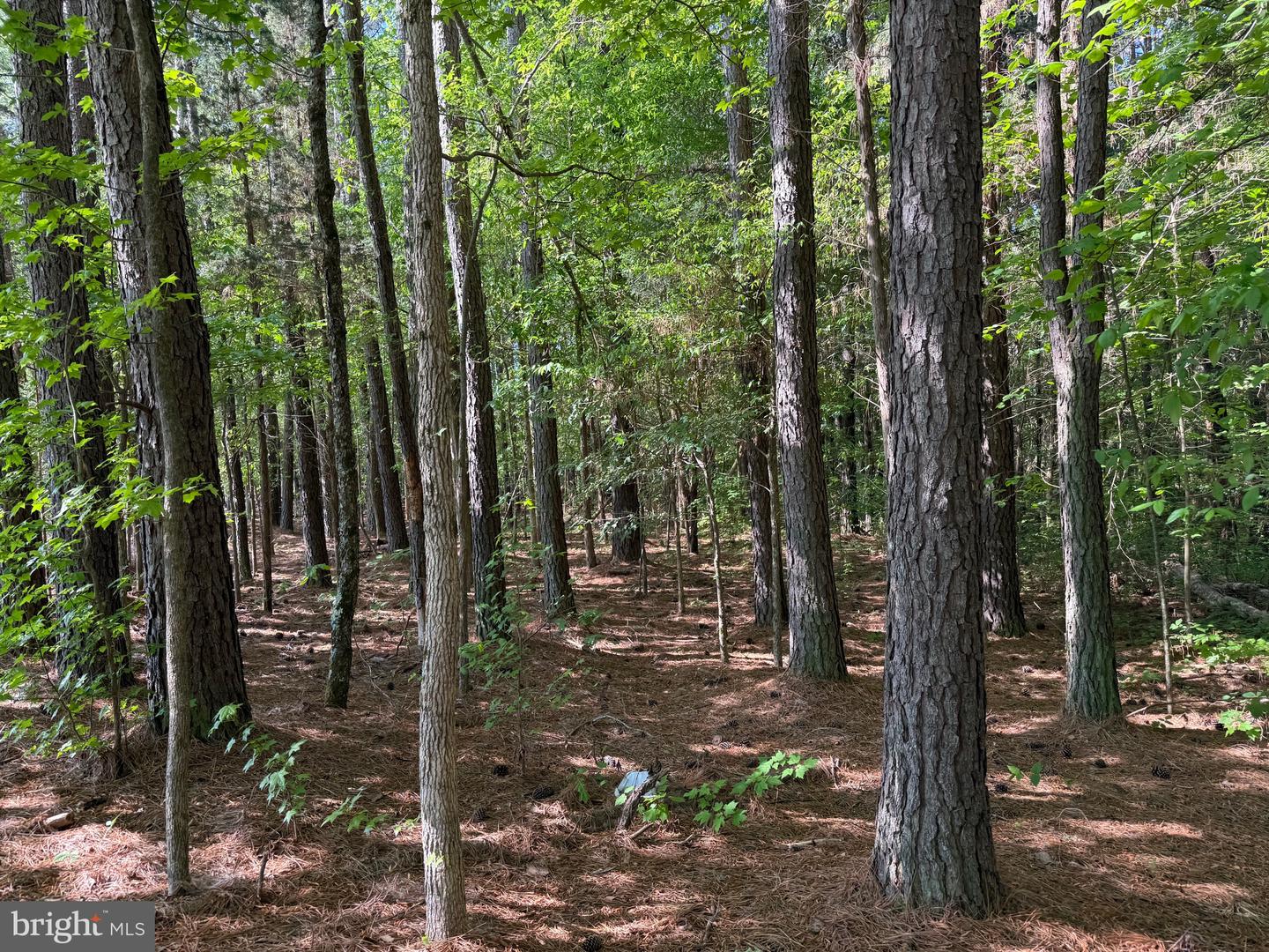 TBD CRAIG MILL RD, SOUTH HILL, Virginia 23970, ,Land,For sale,TBD CRAIG MILL RD,VALB2000044 MLS # VALB2000044