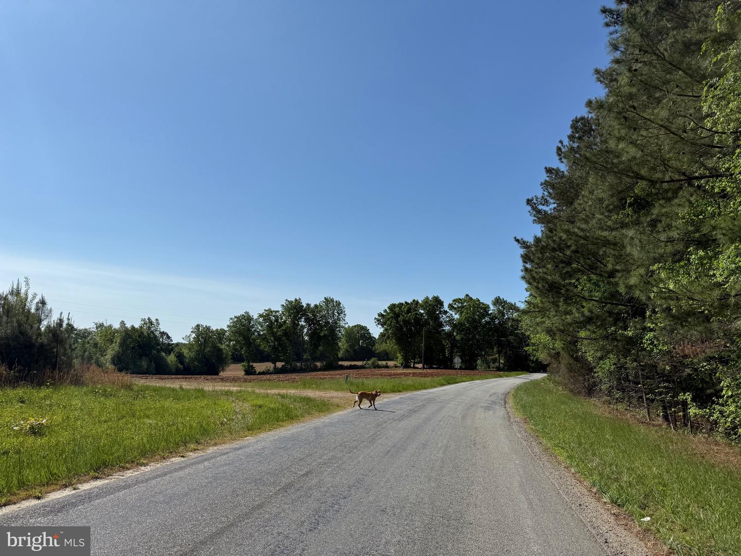 TBD CRAIG MILL RD, SOUTH HILL, Virginia 23970, ,Land,For sale,TBD CRAIG MILL RD,VALB2000044 MLS # VALB2000044