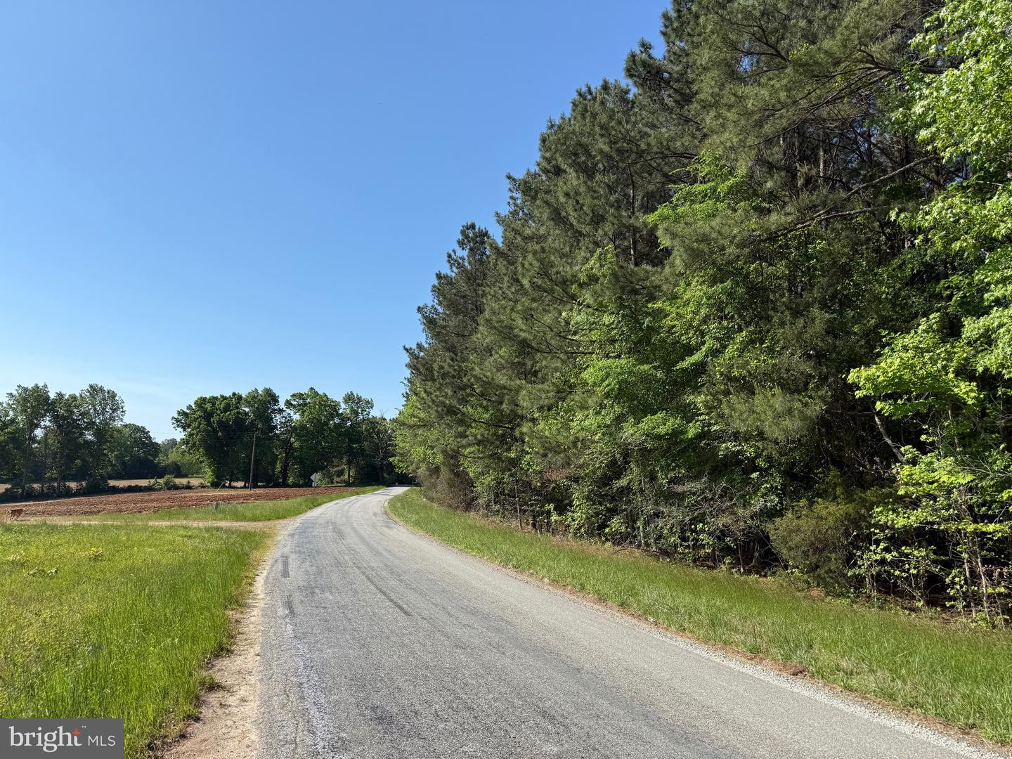 TBD CRAIG MILL RD, SOUTH HILL, Virginia 23970, ,Land,For sale,TBD CRAIG MILL RD,VALB2000044 MLS # VALB2000044