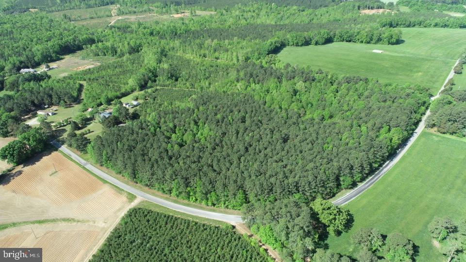 TD 2 CRAIG MILL RD, SOUTH HILL, Virginia 23970, ,Land,For sale,TD 2 CRAIG MILL RD,VALB2000046 MLS # VALB2000046