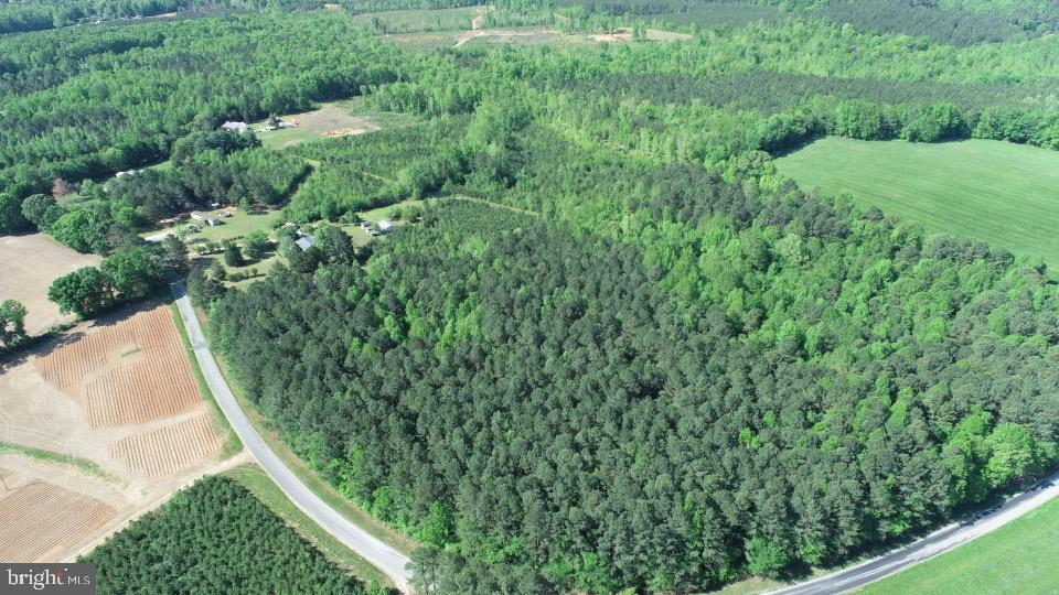 TD 2 CRAIG MILL RD, SOUTH HILL, Virginia 23970, ,Land,For sale,TD 2 CRAIG MILL RD,VALB2000046 MLS # VALB2000046