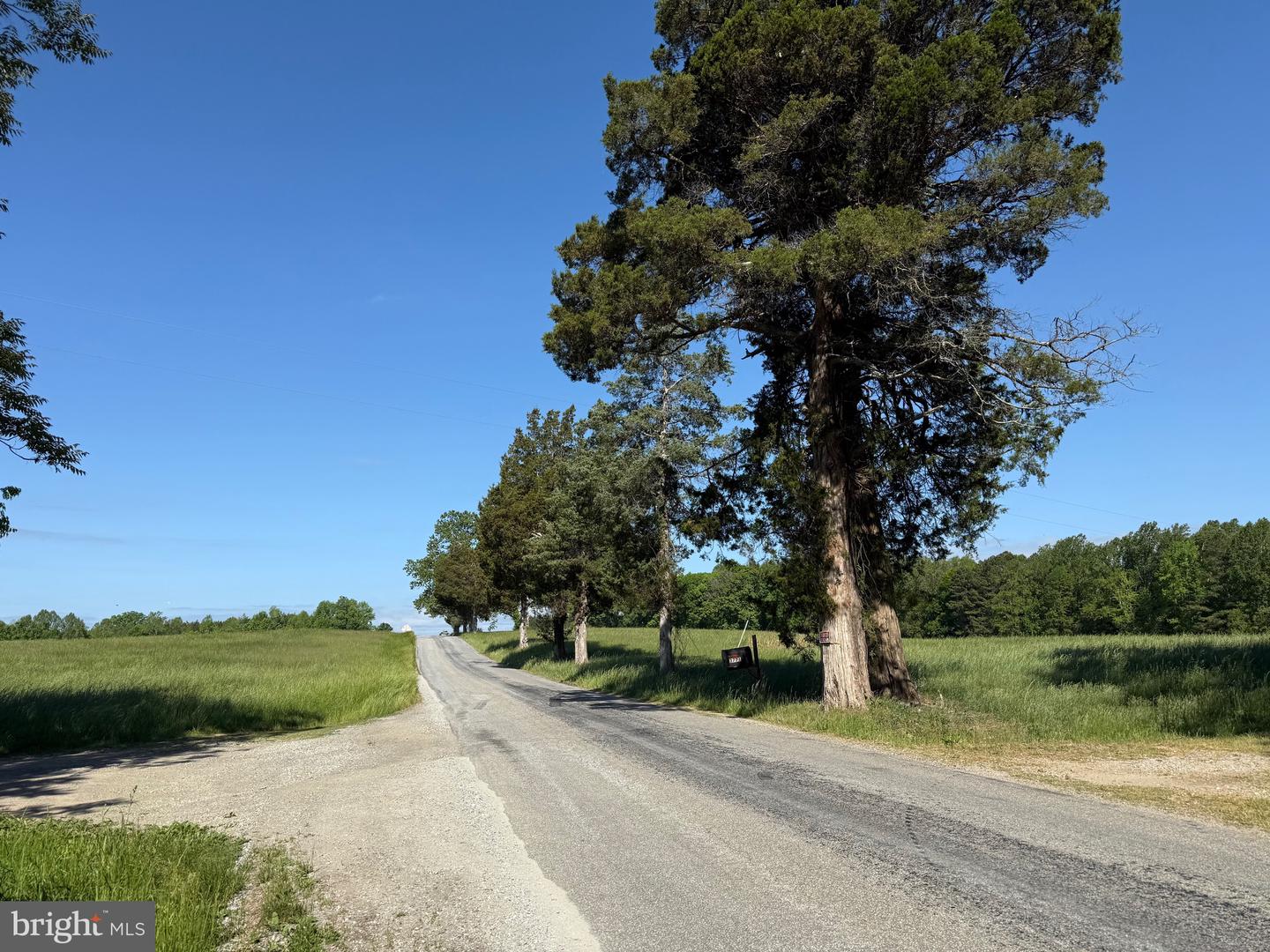 TD 2 CRAIG MILL RD, SOUTH HILL, Virginia 23970, ,Land,For sale,TD 2 CRAIG MILL RD,VALB2000046 MLS # VALB2000046