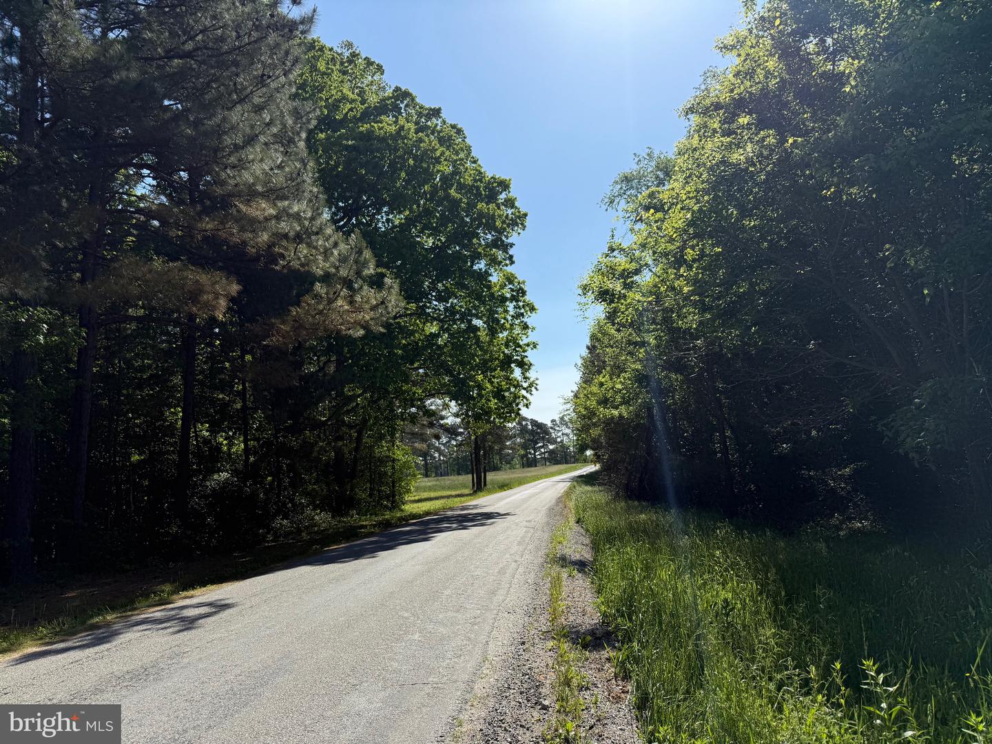 TD 2 CRAIG MILL RD, SOUTH HILL, Virginia 23970, ,Land,For sale,TD 2 CRAIG MILL RD,VALB2000046 MLS # VALB2000046