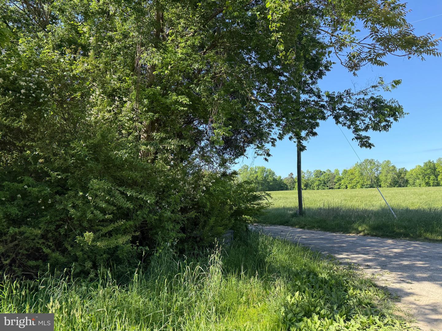 TD 2 CRAIG MILL RD, SOUTH HILL, Virginia 23970, ,Land,For sale,TD 2 CRAIG MILL RD,VALB2000046 MLS # VALB2000046