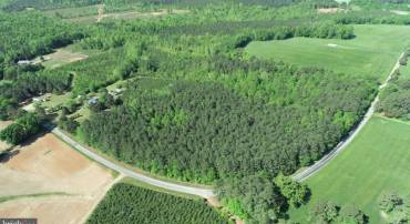 TD 2 CRAIG MILL RD, SOUTH HILL, Virginia 23970, ,Land,For sale,TD 2 CRAIG MILL RD,VALB2000046 MLS # VALB2000046