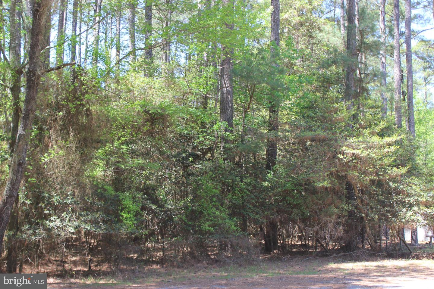 497 DRIFTWOOD DR, GREENBACKVILLE, Virginia 23356, ,Land,For sale,497 DRIFTWOOD DR,VAAC2001836 MLS # VAAC2001836