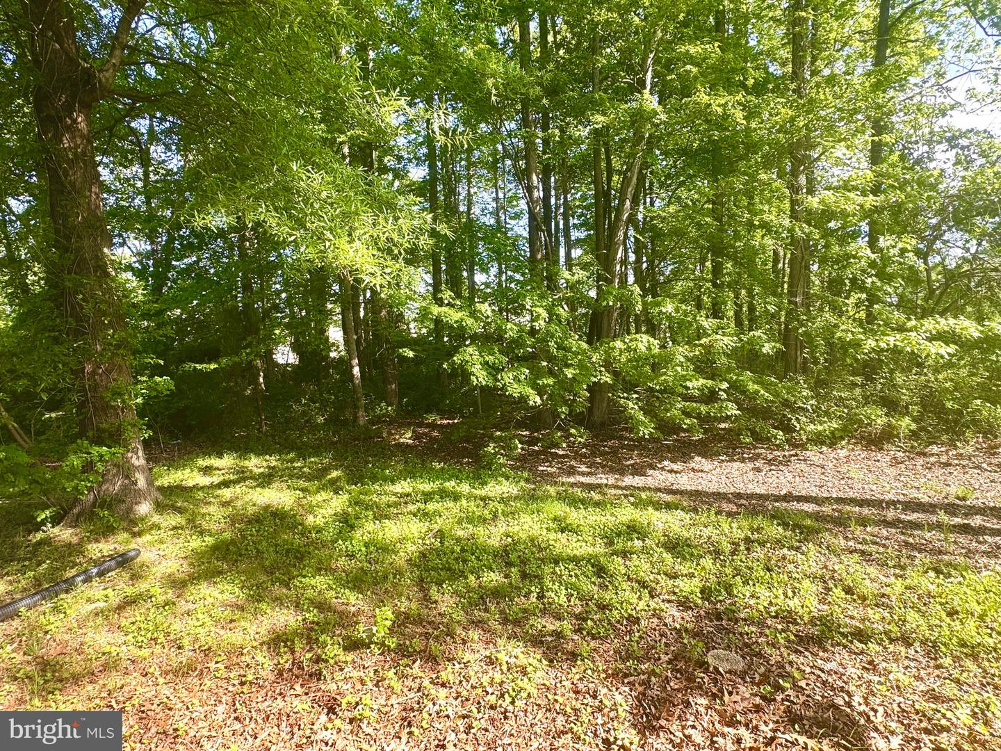 17129 6TH ST, KING GEORGE, Virginia 22485, 4 Bedrooms Bedrooms, ,2 BathroomsBathrooms,Residential,For sale,17129 6TH ST,VAKG2006340 MLS # VAKG2006340