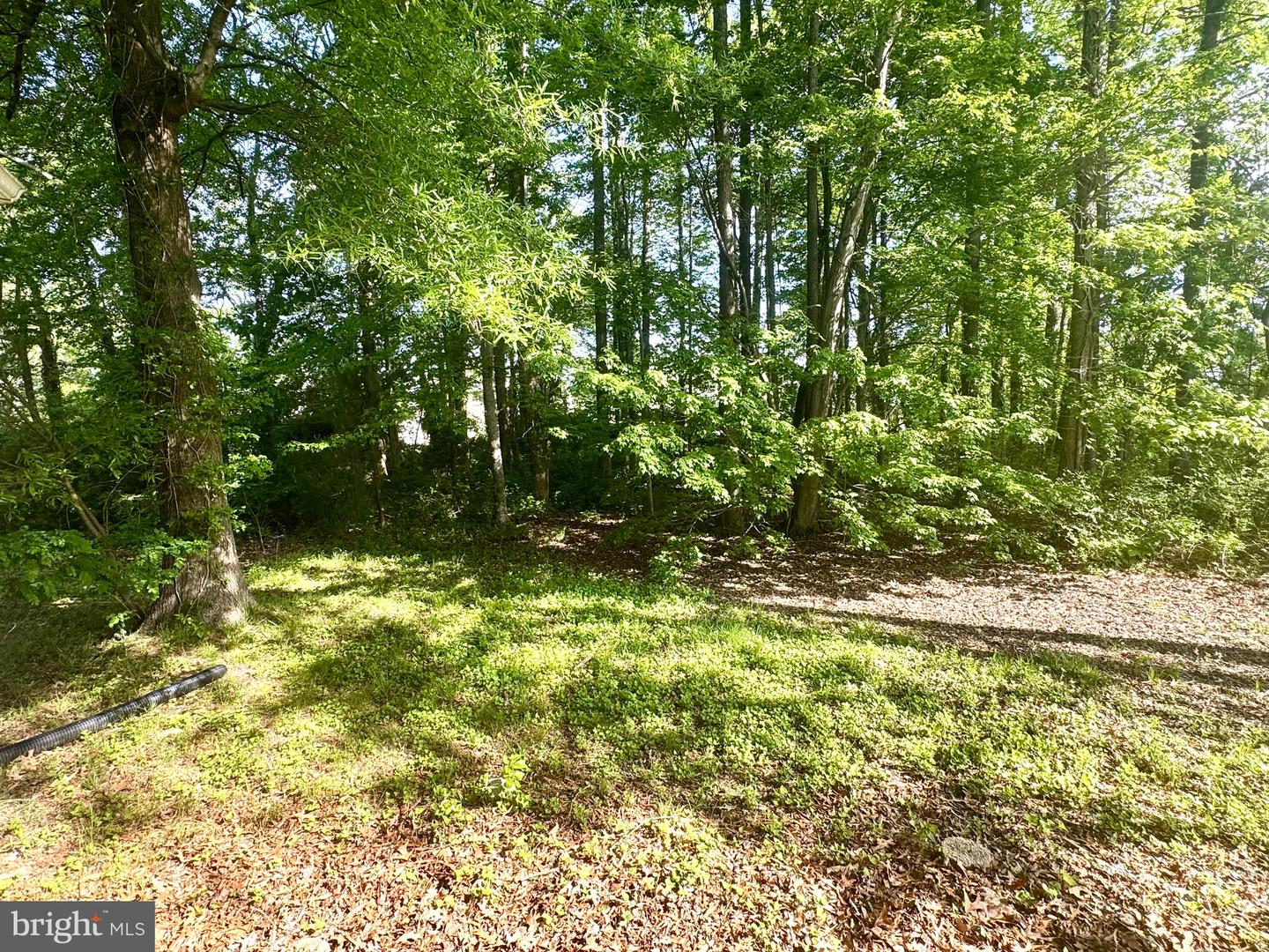 17129 6TH ST, KING GEORGE, Virginia 22485, 4 Bedrooms Bedrooms, ,2 BathroomsBathrooms,Residential,For sale,17129 6TH ST,VAKG2006340 MLS # VAKG2006340