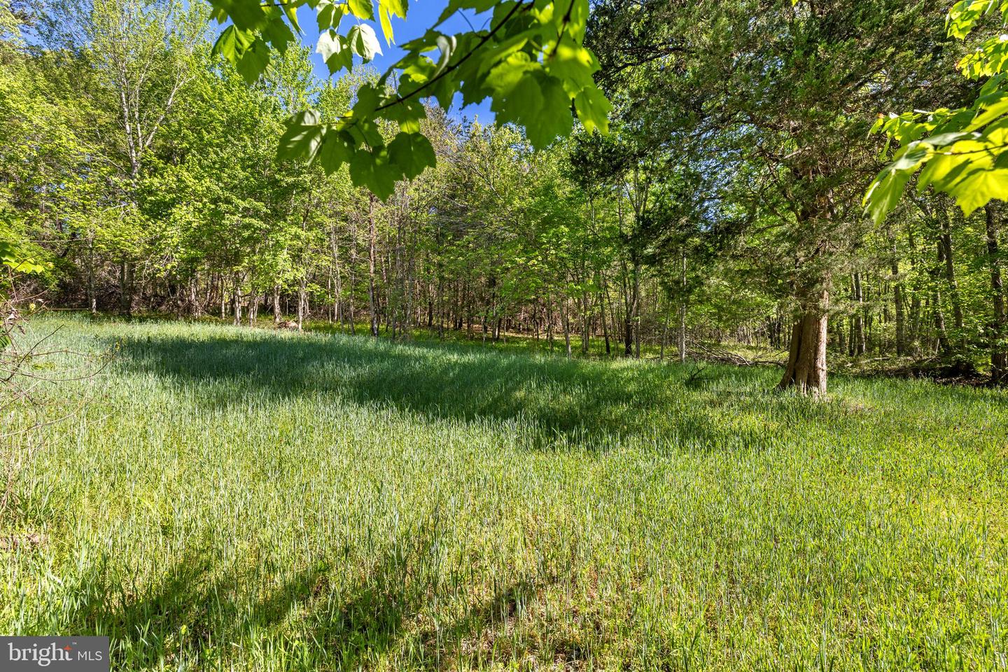 12421 CAMPBELL RD, ORANGE, Virginia 22960, 1 Bedroom Bedrooms, ,1 BathroomBathrooms,Residential,For sale,12421 CAMPBELL RD,VAOR2009566 MLS # VAOR2009566