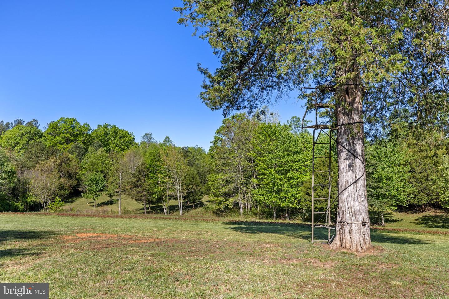 12421 CAMPBELL RD, ORANGE, Virginia 22960, 1 Bedroom Bedrooms, ,1 BathroomBathrooms,Residential,For sale,12421 CAMPBELL RD,VAOR2009566 MLS # VAOR2009566
