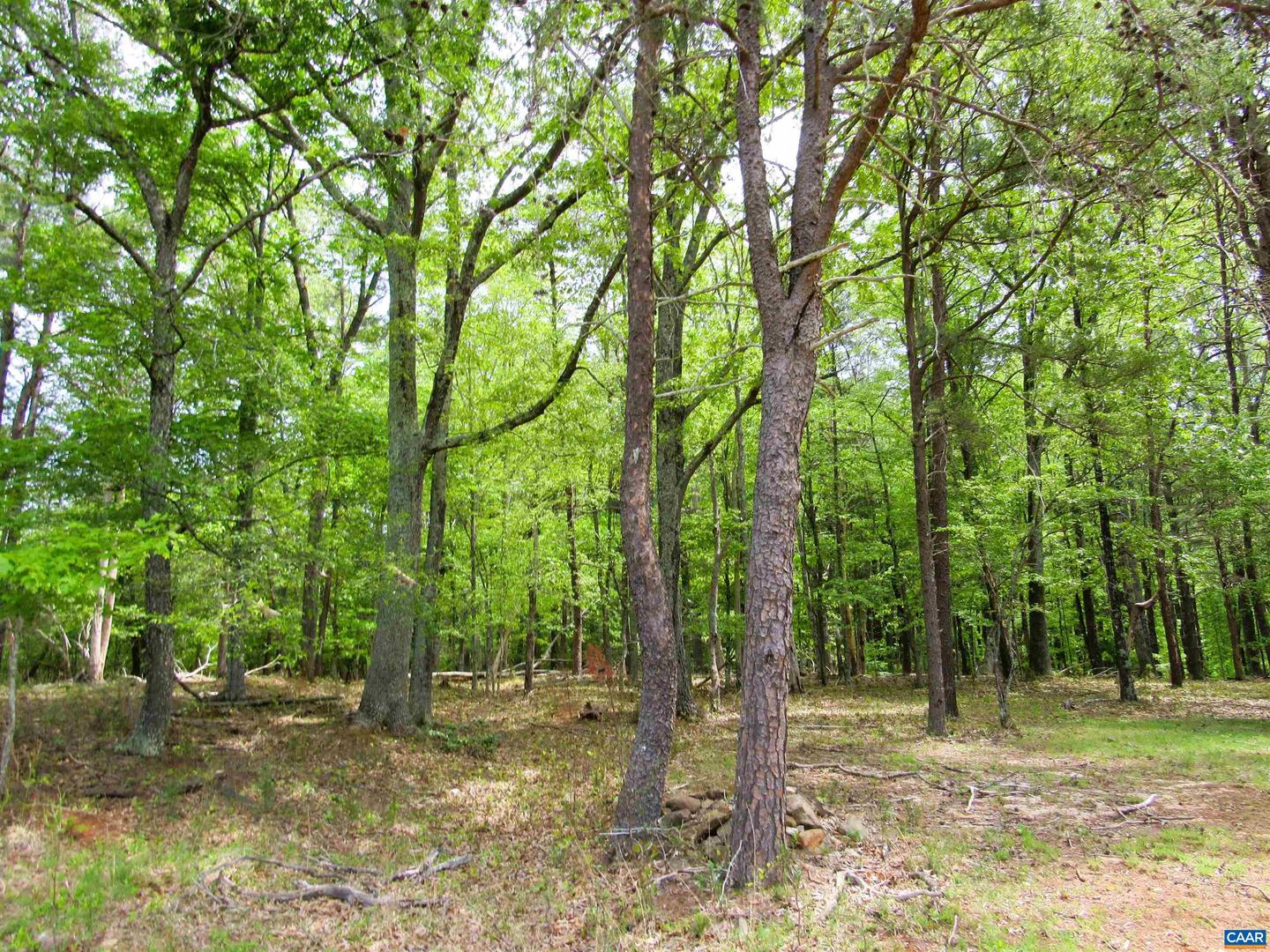 238 MY WAY, AMHERST, Virginia 24521, 3 Bedrooms Bedrooms, ,2 BathroomsBathrooms,Residential,For sale,238 MY WAY,663918 MLS # 663918