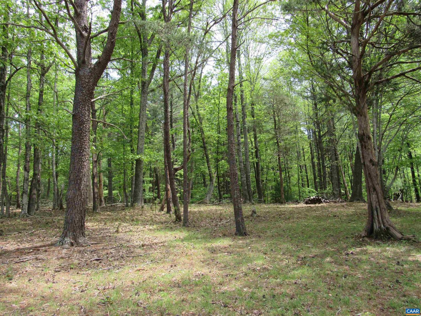 238 MY WAY, AMHERST, Virginia 24521, 3 Bedrooms Bedrooms, ,2 BathroomsBathrooms,Residential,For sale,238 MY WAY,663918 MLS # 663918