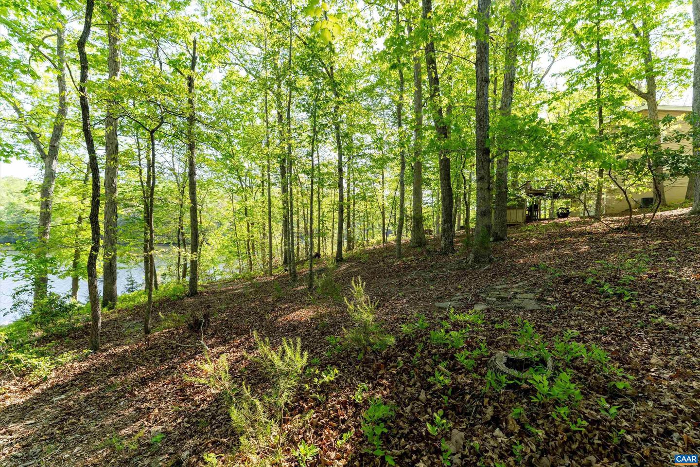 46 MARWOOD DR, PALMYRA, Virginia 22963, 3 Bedrooms Bedrooms, ,3 BathroomsBathrooms,Residential,For sale,46 MARWOOD DR,663934 MLS # 663934