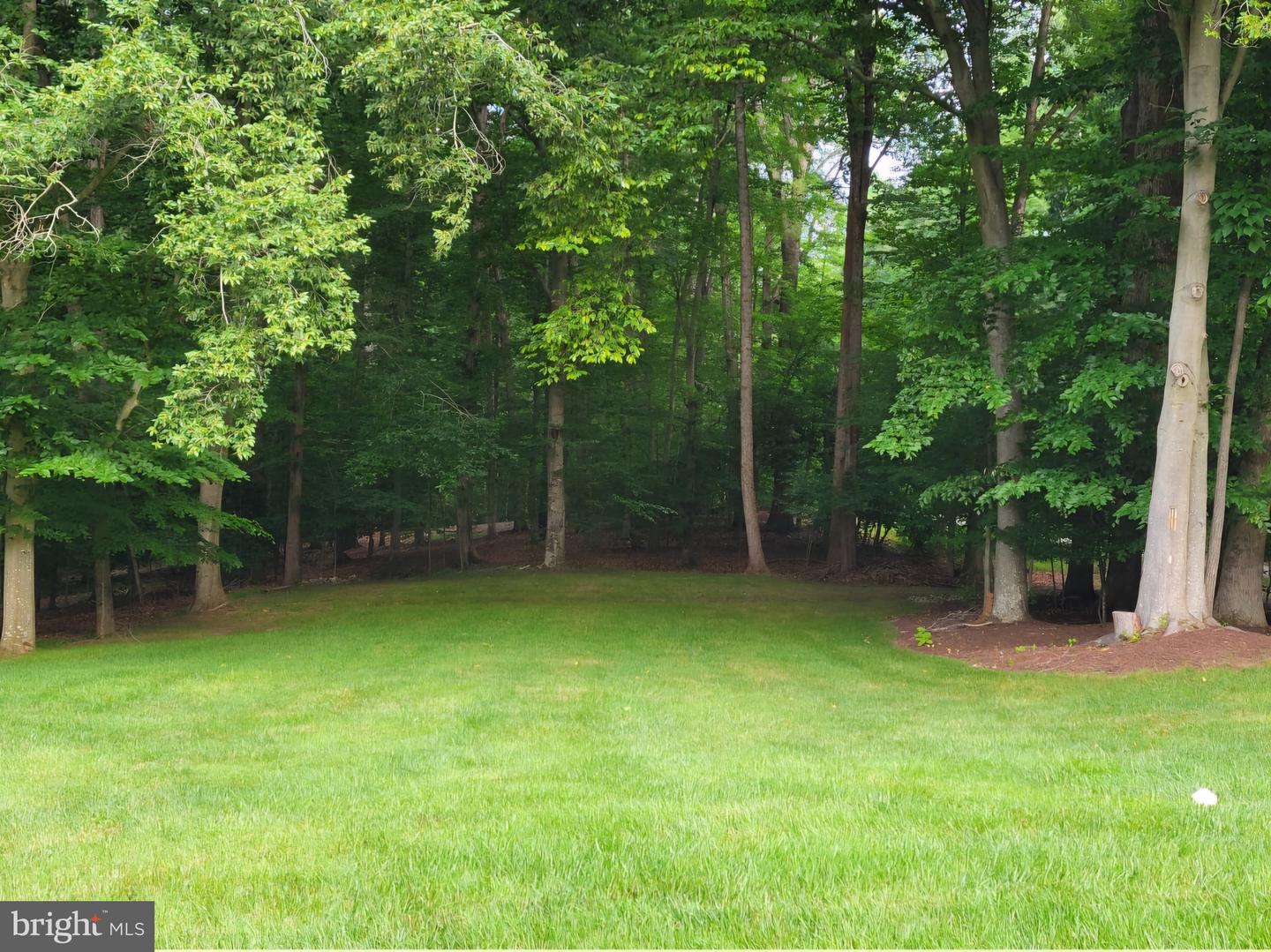 10242 VAN THOMPSON RD, FAIRFAX STATION, Virginia 22039, 4 Bedrooms Bedrooms, ,3 BathroomsBathrooms,Residential,For sale,10242 VAN THOMPSON RD,VAFX2232656 MLS # VAFX2232656
