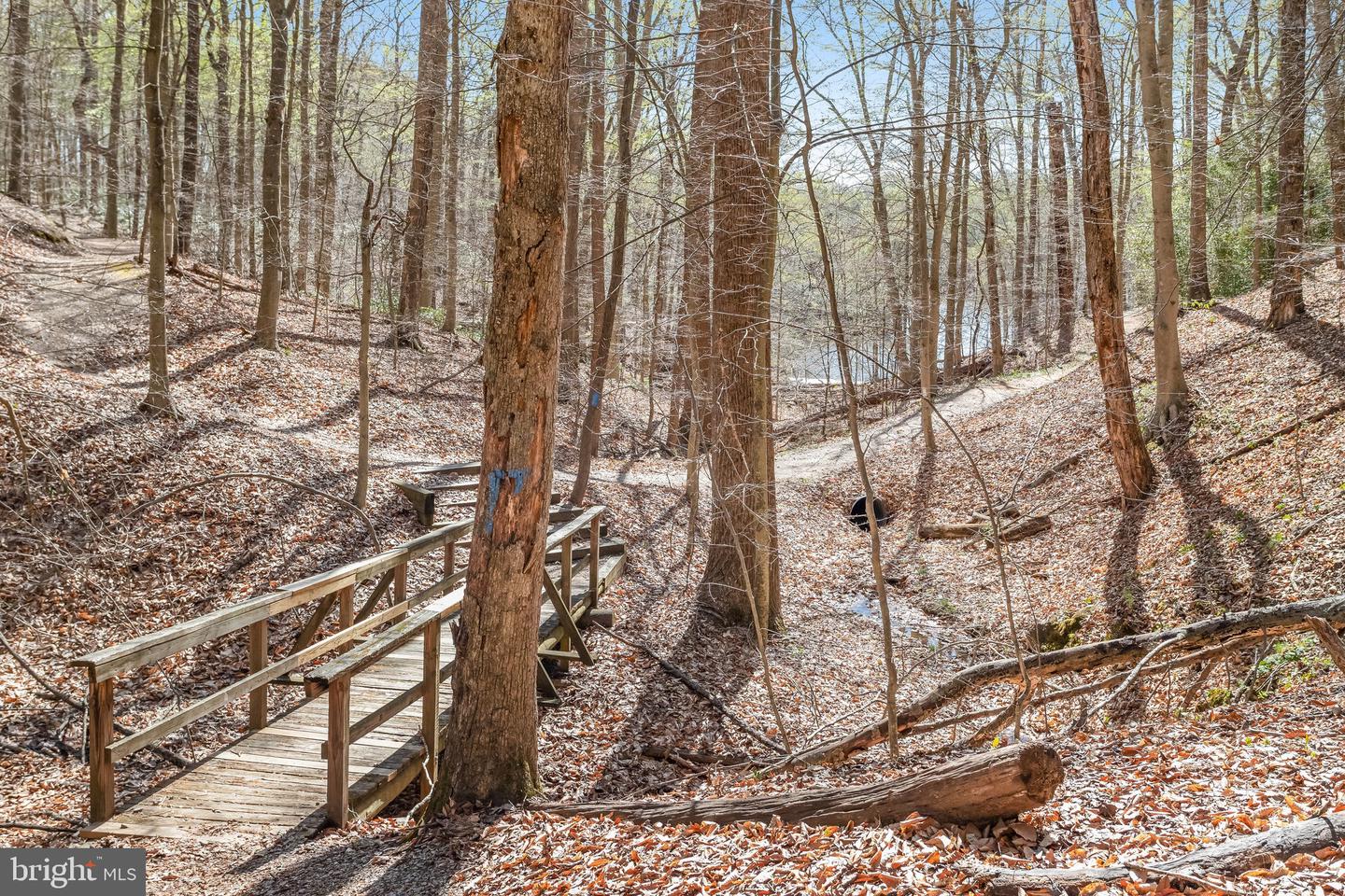 10242 VAN THOMPSON RD, FAIRFAX STATION, Virginia 22039, 4 Bedrooms Bedrooms, ,3 BathroomsBathrooms,Residential,For sale,10242 VAN THOMPSON RD,VAFX2232656 MLS # VAFX2232656