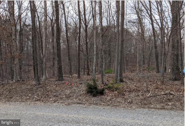 LOT 24 MAPLE LANE, BLUEMONT, Virginia 20135, ,Land,For sale,LOT 24 MAPLE LANE,VACL2003684 MLS # VACL2003684