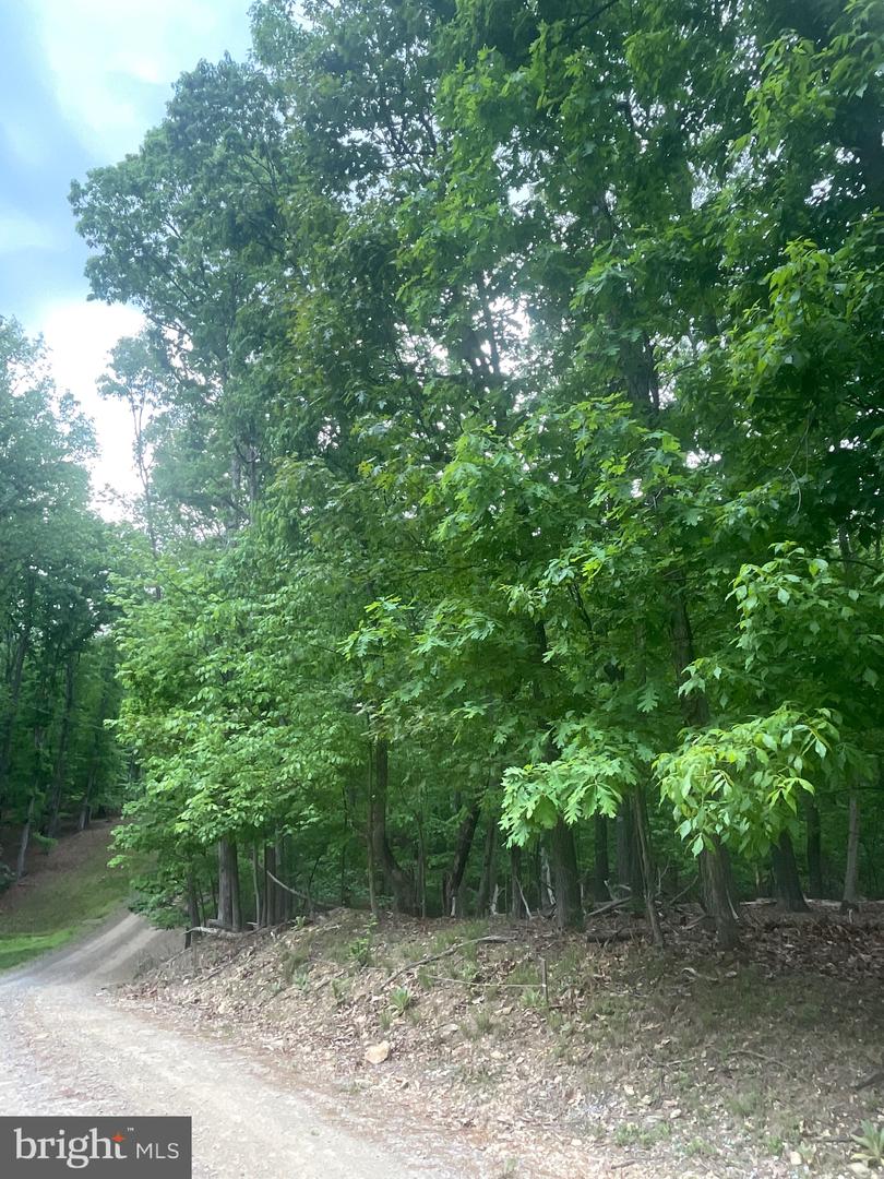 LOT 24 MAPLE LANE, BLUEMONT, Virginia 20135, ,Land,For sale,LOT 24 MAPLE LANE,VACL2003684 MLS # VACL2003684
