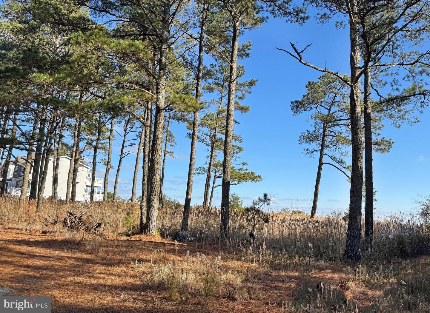 LOT 718 CASTAWAY DR, GREENBACKVILLE, Virginia 23356, ,Land,For sale,LOT 718 CASTAWAY DR,VAAC2001844 MLS # VAAC2001844