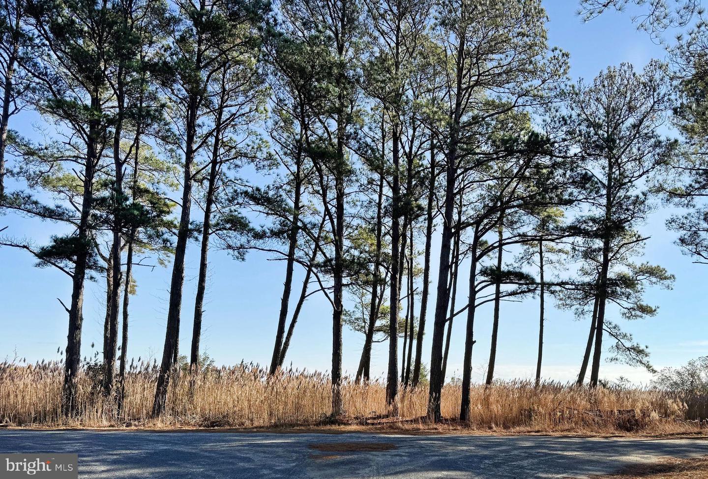 LOT 718 CASTAWAY DR, GREENBACKVILLE, Virginia 23356, ,Land,For sale,LOT 718 CASTAWAY DR,VAAC2001844 MLS # VAAC2001844
