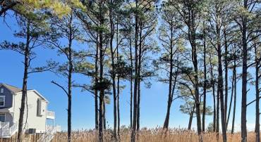 LOT 718 CASTAWAY DR, GREENBACKVILLE, Virginia 23356, ,Land,For sale,LOT 718 CASTAWAY DR,VAAC2001844 MLS # VAAC2001844