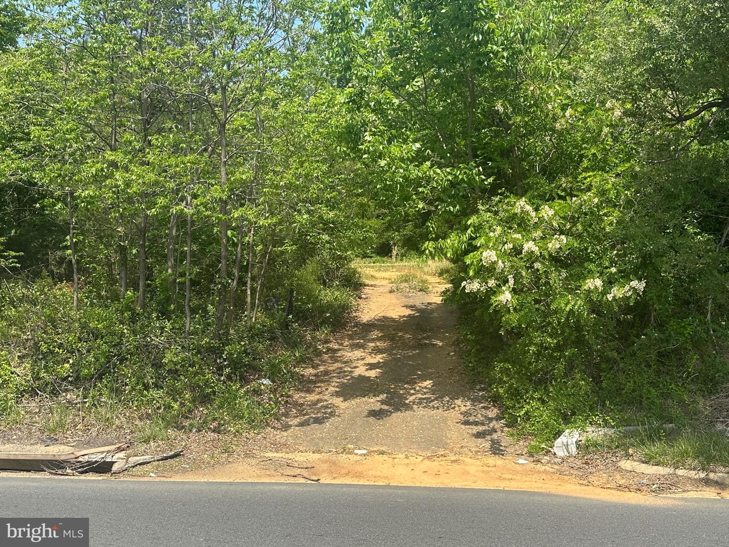 6416 COLUMBIA PIKE, ANNANDALE, Virginia 22003, ,Land,For sale,6416 COLUMBIA PIKE,VAFX2238096 MLS # VAFX2238096