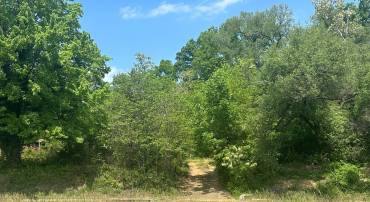 6416 COLUMBIA PIKE, ANNANDALE, Virginia 22003, ,Land,For sale,6416 COLUMBIA PIKE,VAFX2238096 MLS # VAFX2238096