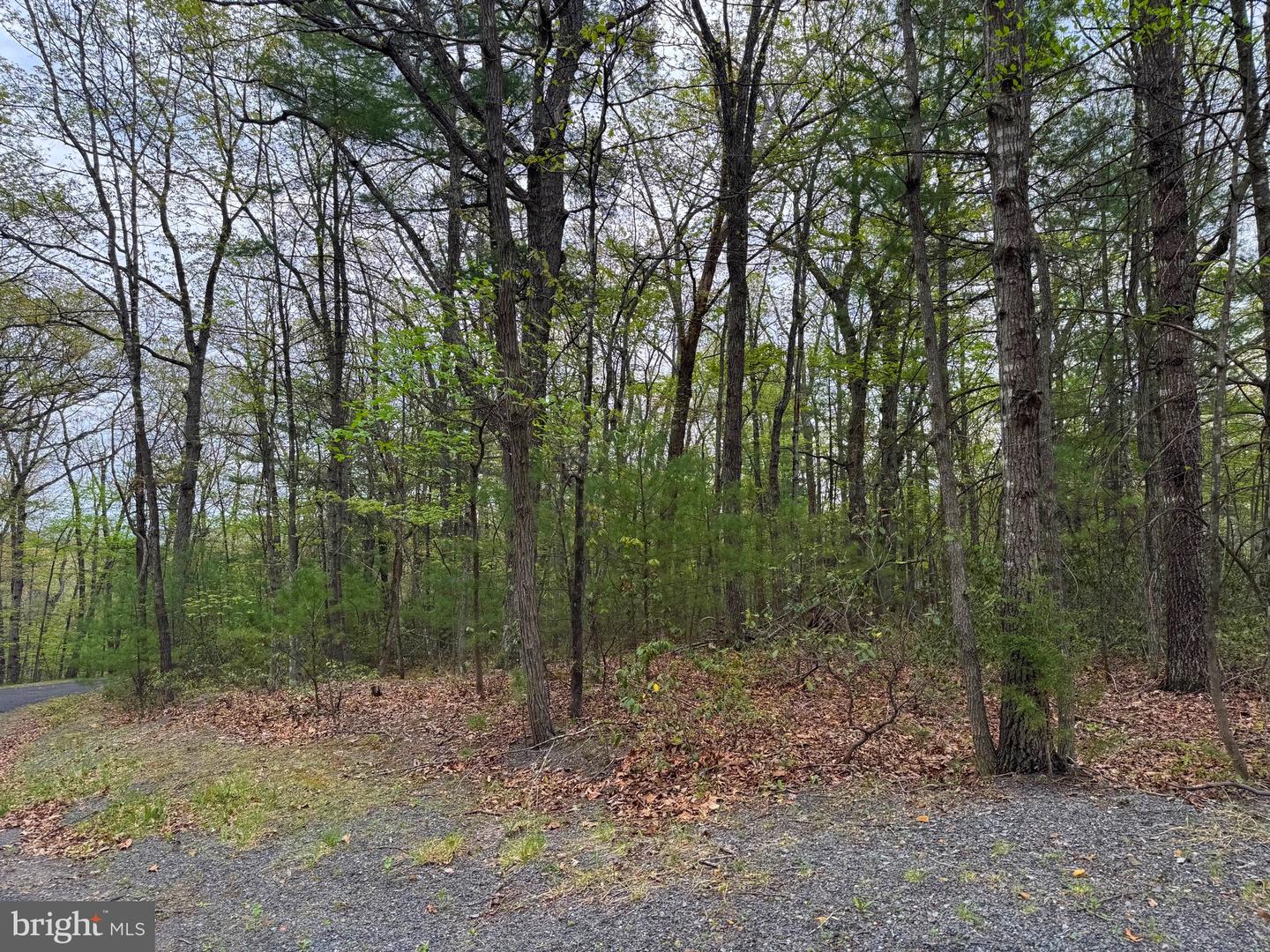 LOT 17 DOOLEY, BASYE, Virginia 22810, ,Land,For sale,LOT 17 DOOLEY,VASH2011330 MLS # VASH2011330