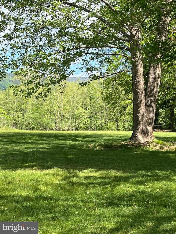 400 N FORK RIVER RD, SHENANDOAH, Virginia 22849, 3 Bedrooms Bedrooms, ,3 BathroomsBathrooms,Residential,400 N FORK RIVER RD,VAPA2004856 MLS # VAPA2004856