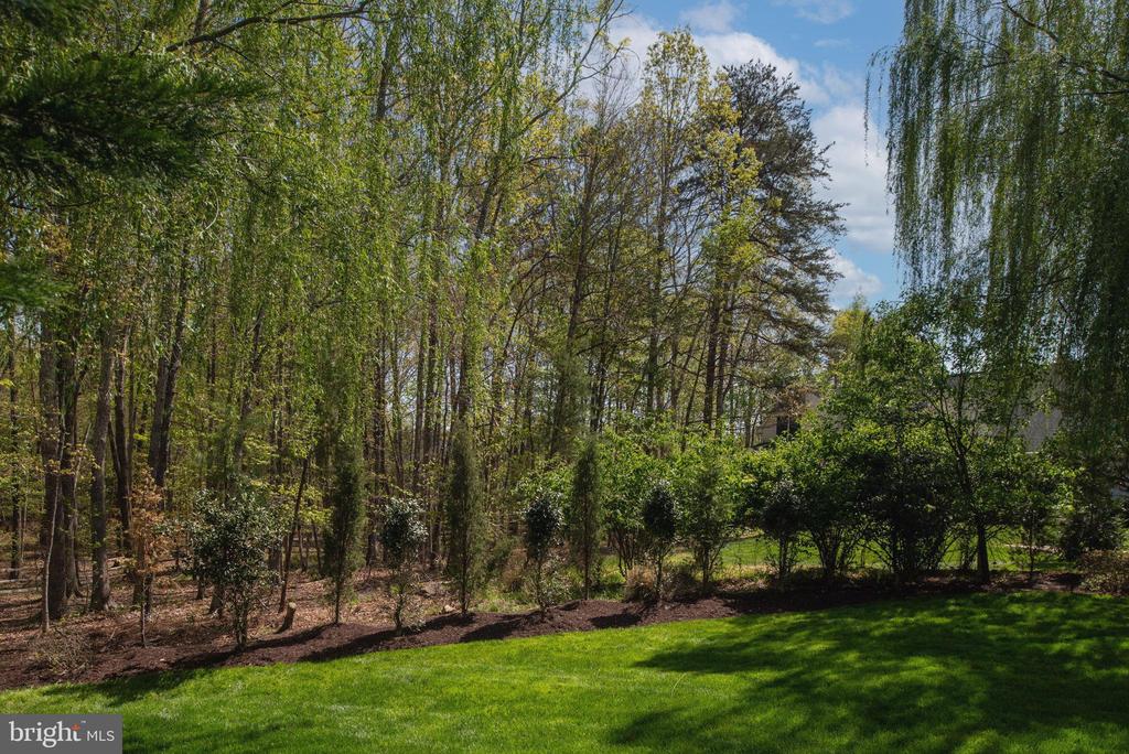 11905 OLD ELM CT, SPOTSYLVANIA, Virginia 22551, 5 Bedrooms Bedrooms, ,5 BathroomsBathrooms,Residential,11905 OLD ELM CT,VASP2032532 MLS # VASP2032532