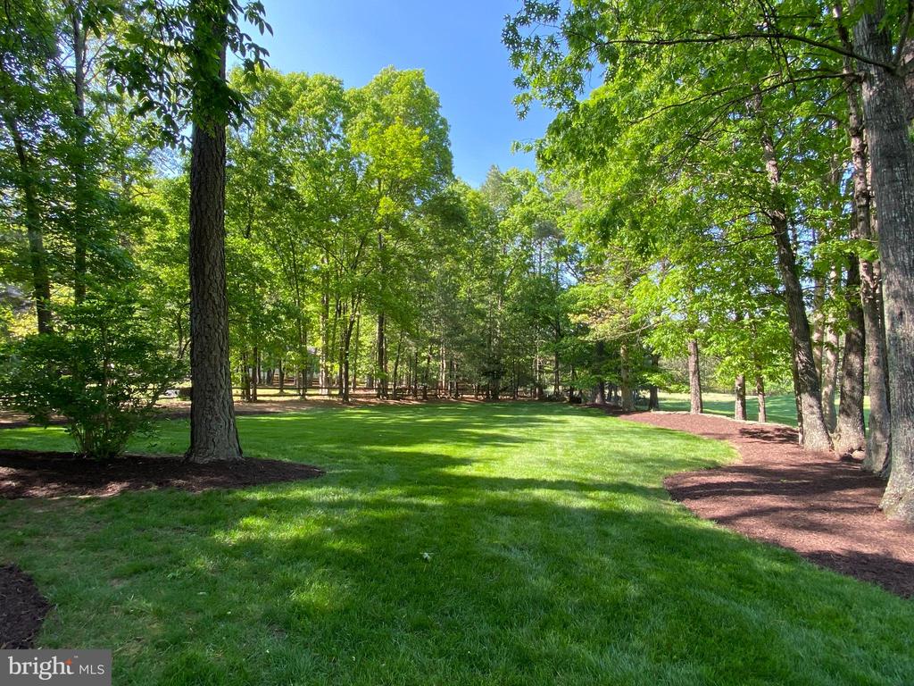 11609 LONGSTREET DR, SPOTSYLVANIA, Virginia 22551, 4 Bedrooms Bedrooms, ,4 BathroomsBathrooms,Residential,11609 LONGSTREET DR,VASP2032746 MLS # VASP2032746