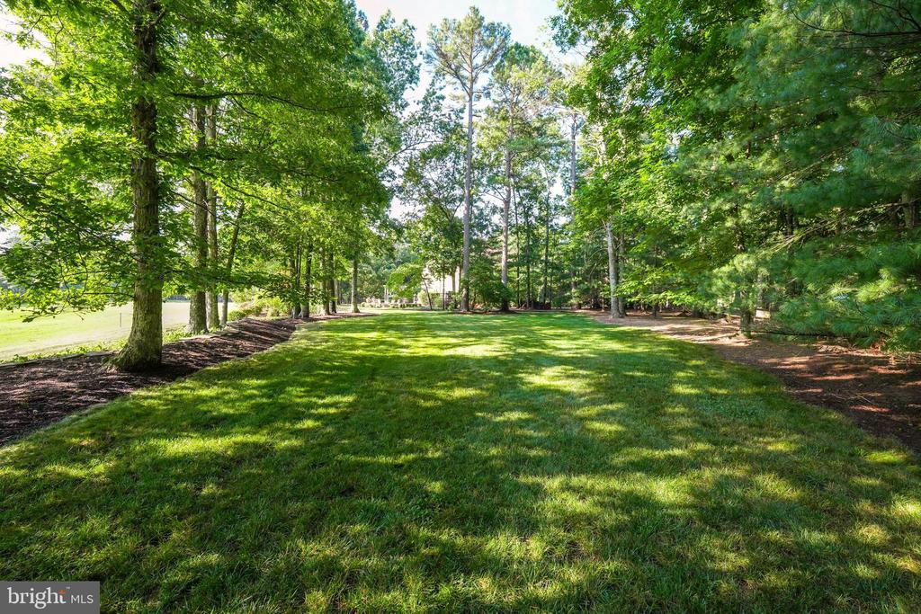 11609 LONGSTREET DR, SPOTSYLVANIA, Virginia 22551, 4 Bedrooms Bedrooms, ,4 BathroomsBathrooms,Residential,11609 LONGSTREET DR,VASP2032746 MLS # VASP2032746