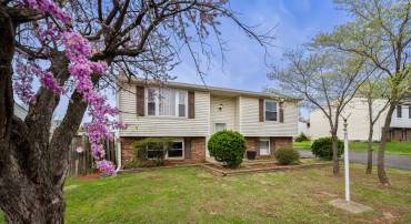 1306 E BEECH RD, STERLING, Virginia 20164, 4 Bedrooms Bedrooms, ,2 BathroomsBathrooms,Residential,For sale,1306 E BEECH RD,VALO2092528 MLS # VALO2092528