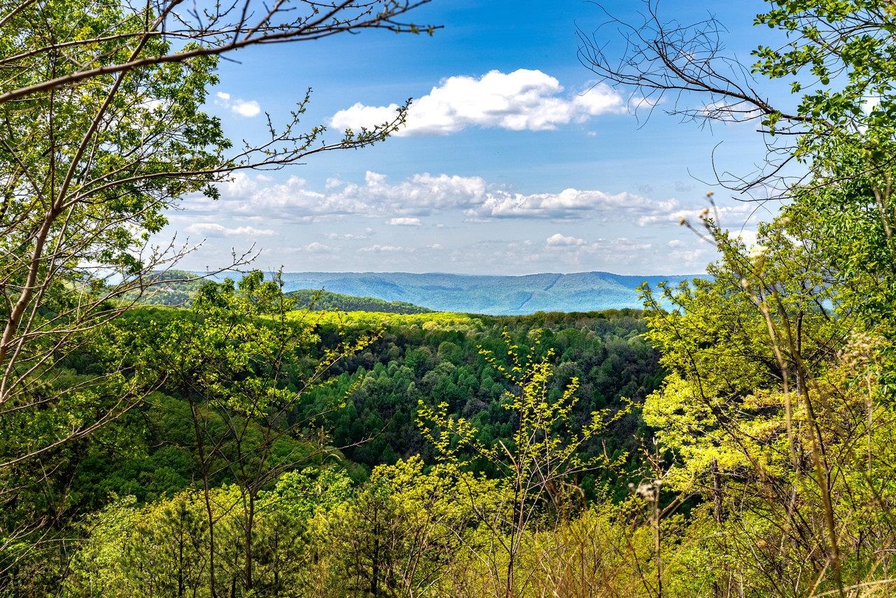 01 CUBBAGE HOLLOW RD, STANLEY, Virginia 22851, ,Farm,01 CUBBAGE HOLLOW RD,664010 MLS # 664010