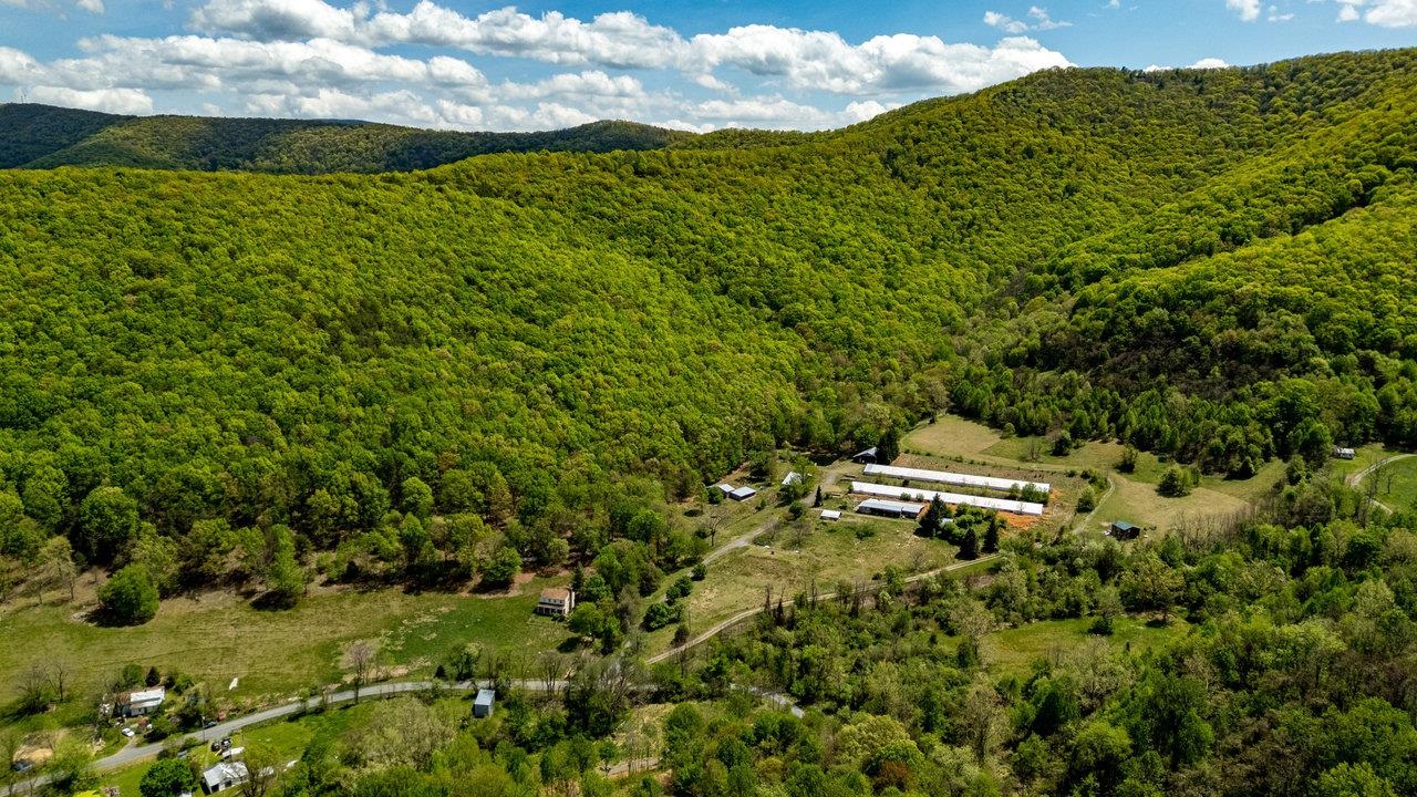 01 CUBBAGE HOLLOW RD, STANLEY, Virginia 22851, ,Farm,01 CUBBAGE HOLLOW RD,664010 MLS # 664010