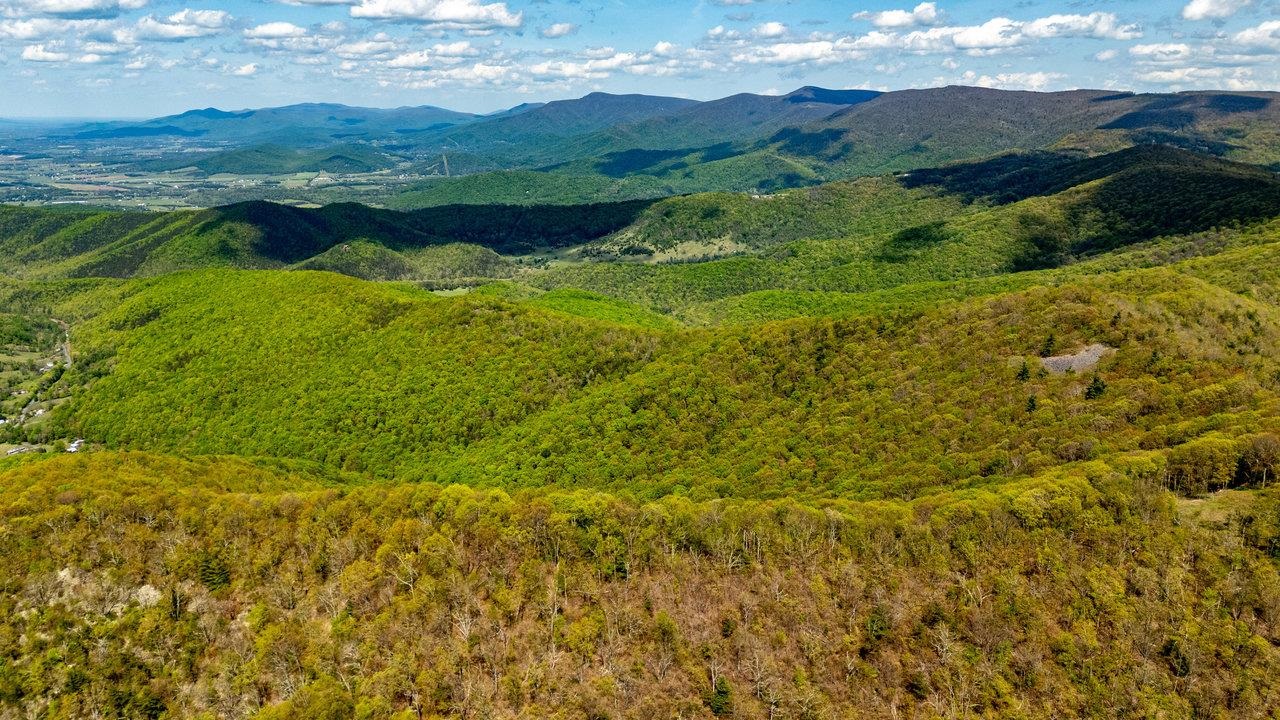 01 CUBBAGE HOLLOW RD, STANLEY, Virginia 22851, ,Farm,01 CUBBAGE HOLLOW RD,664010 MLS # 664010