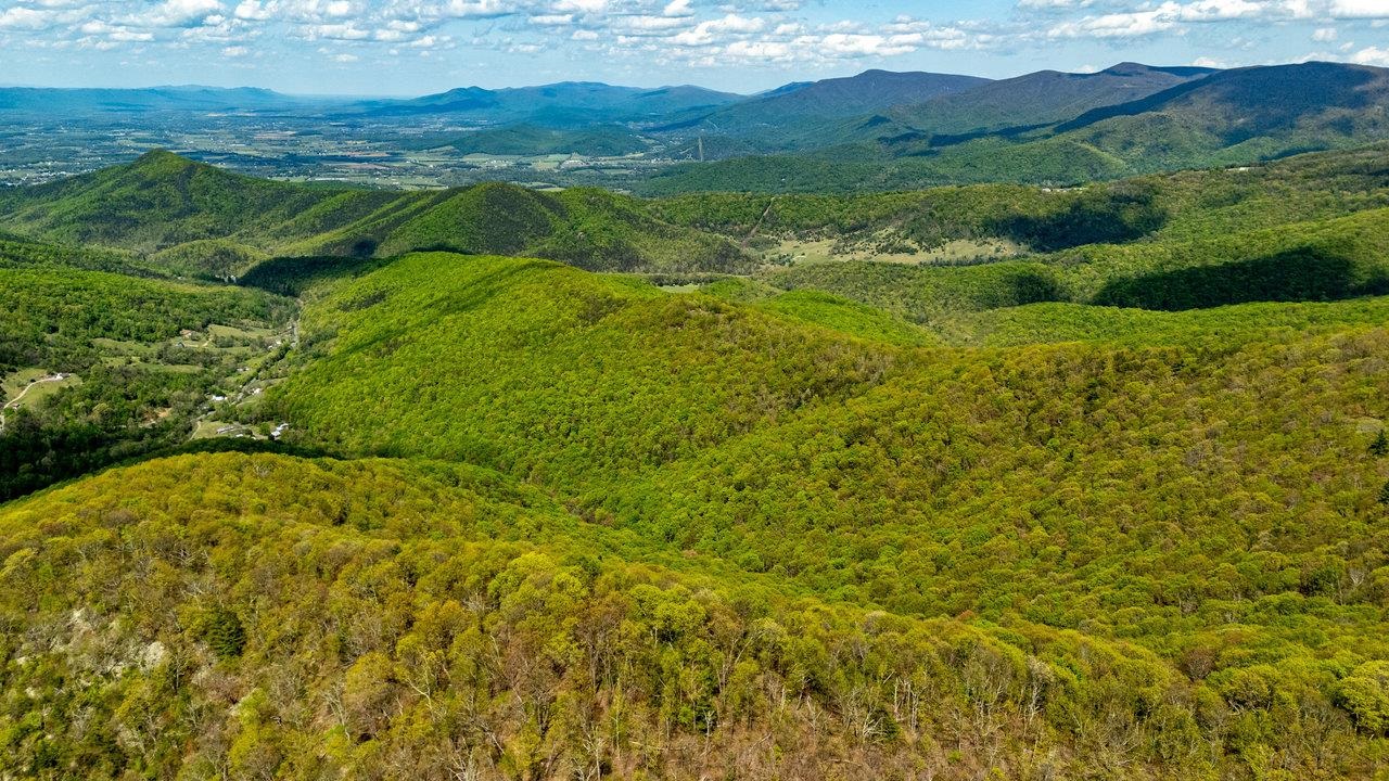 01 CUBBAGE HOLLOW RD, STANLEY, Virginia 22851, ,Farm,01 CUBBAGE HOLLOW RD,664010 MLS # 664010