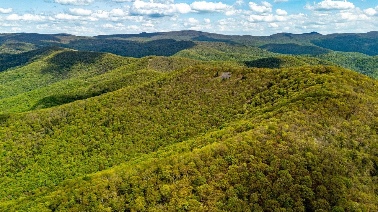 01 CUBBAGE HOLLOW RD, STANLEY, Virginia 22851, ,Farm,01 CUBBAGE HOLLOW RD,664010 MLS # 664010