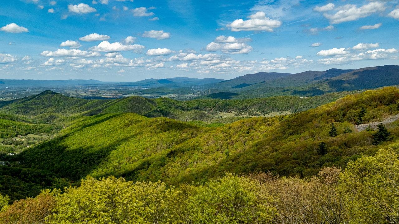 01 CUBBAGE HOLLOW RD, STANLEY, Virginia 22851, ,Farm,01 CUBBAGE HOLLOW RD,664010 MLS # 664010