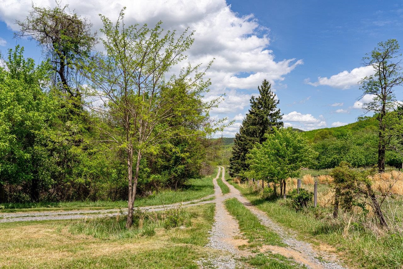 01 CUBBAGE HOLLOW RD, STANLEY, Virginia 22851, ,Farm,01 CUBBAGE HOLLOW RD,664010 MLS # 664010