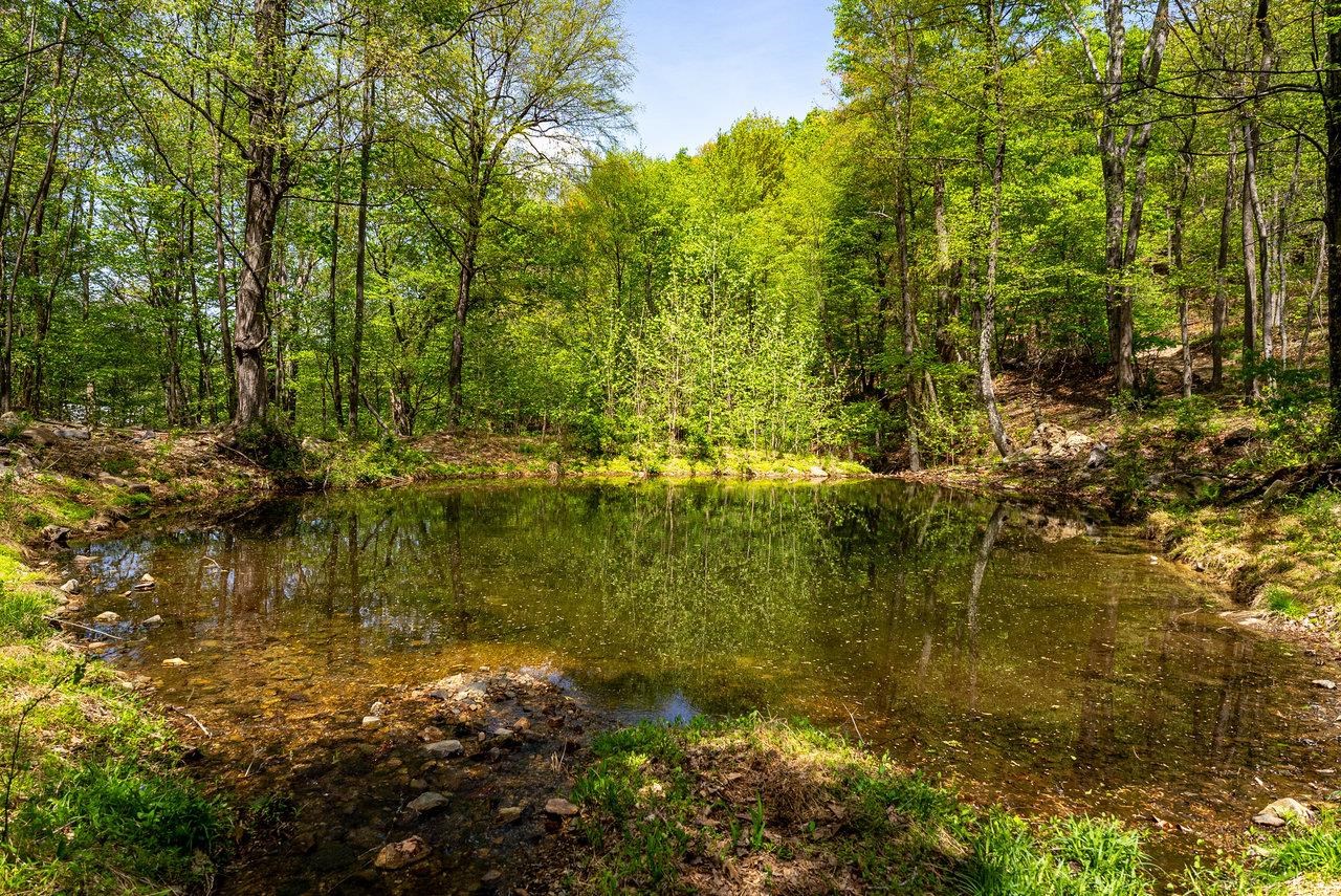 01 CUBBAGE HOLLOW RD, STANLEY, Virginia 22851, ,Farm,01 CUBBAGE HOLLOW RD,664010 MLS # 664010