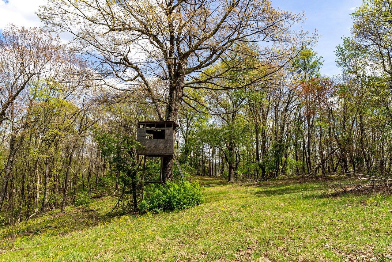 01 CUBBAGE HOLLOW RD, STANLEY, Virginia 22851, ,Farm,01 CUBBAGE HOLLOW RD,664010 MLS # 664010