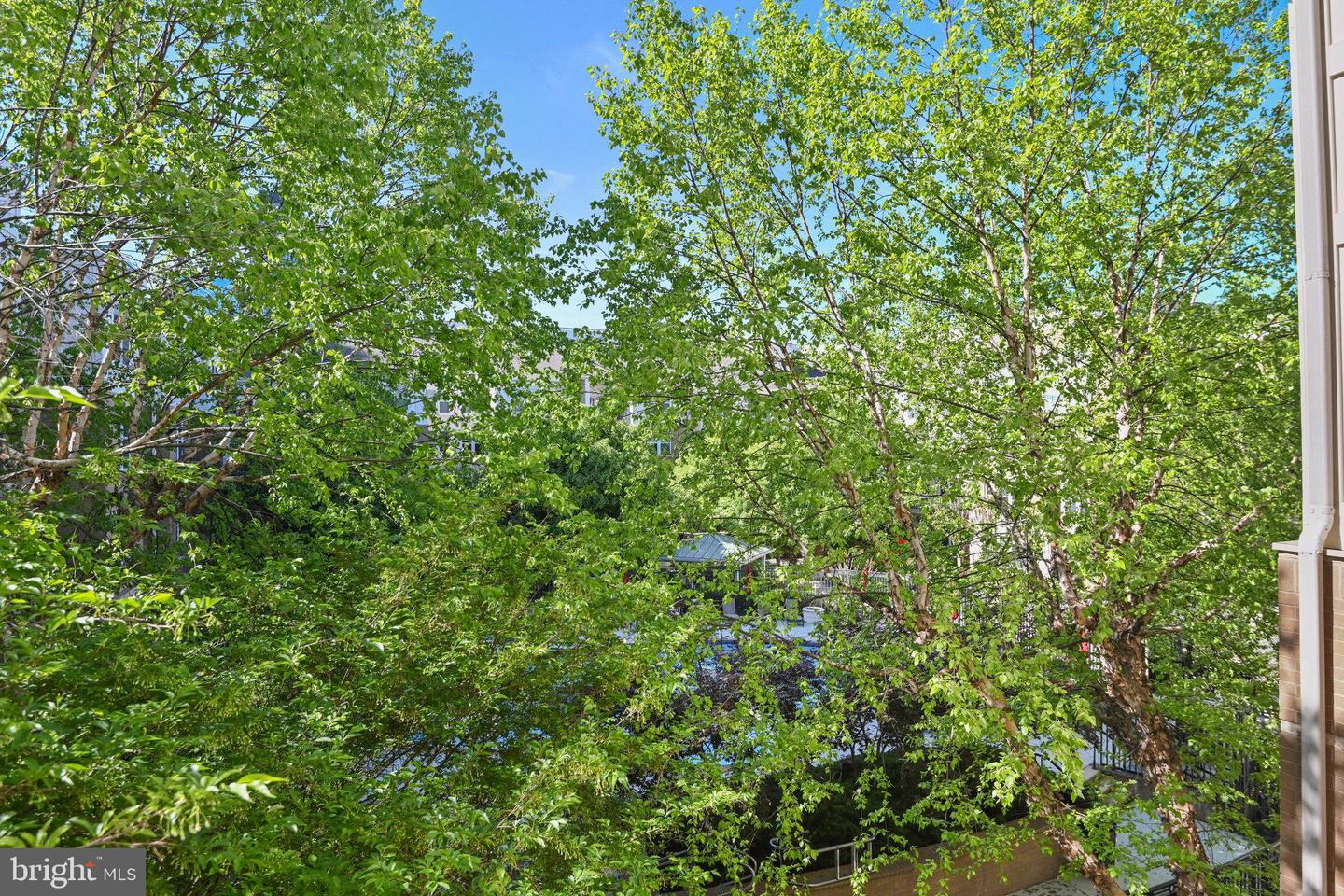 12000 MARKET ST #343, RESTON, Virginia 20190, 1 Bedroom Bedrooms, ,1 BathroomBathrooms,Residential,For sale,12000 MARKET ST #343,VAFX2233872 MLS # VAFX2233872